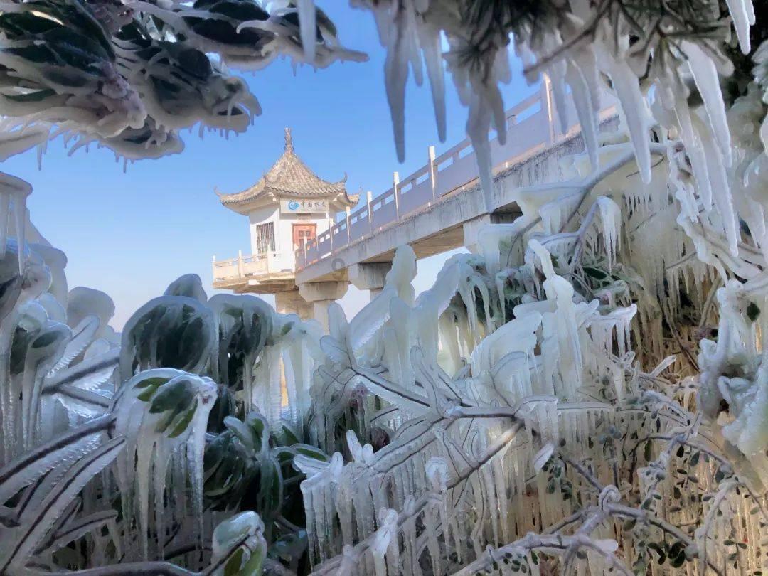 西安“硬核”寺庙,拒绝改造和商业化,仍供奉着唐玄奘遗骨