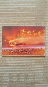小猪仔要回家