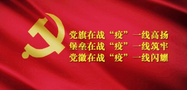 哥特舰队