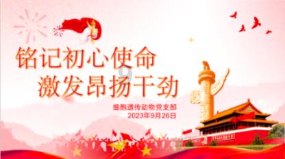 奥特曼兄弟历险记2