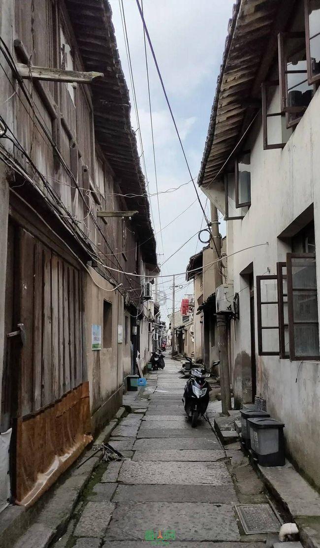 金彭金掌通零售板游戏画面